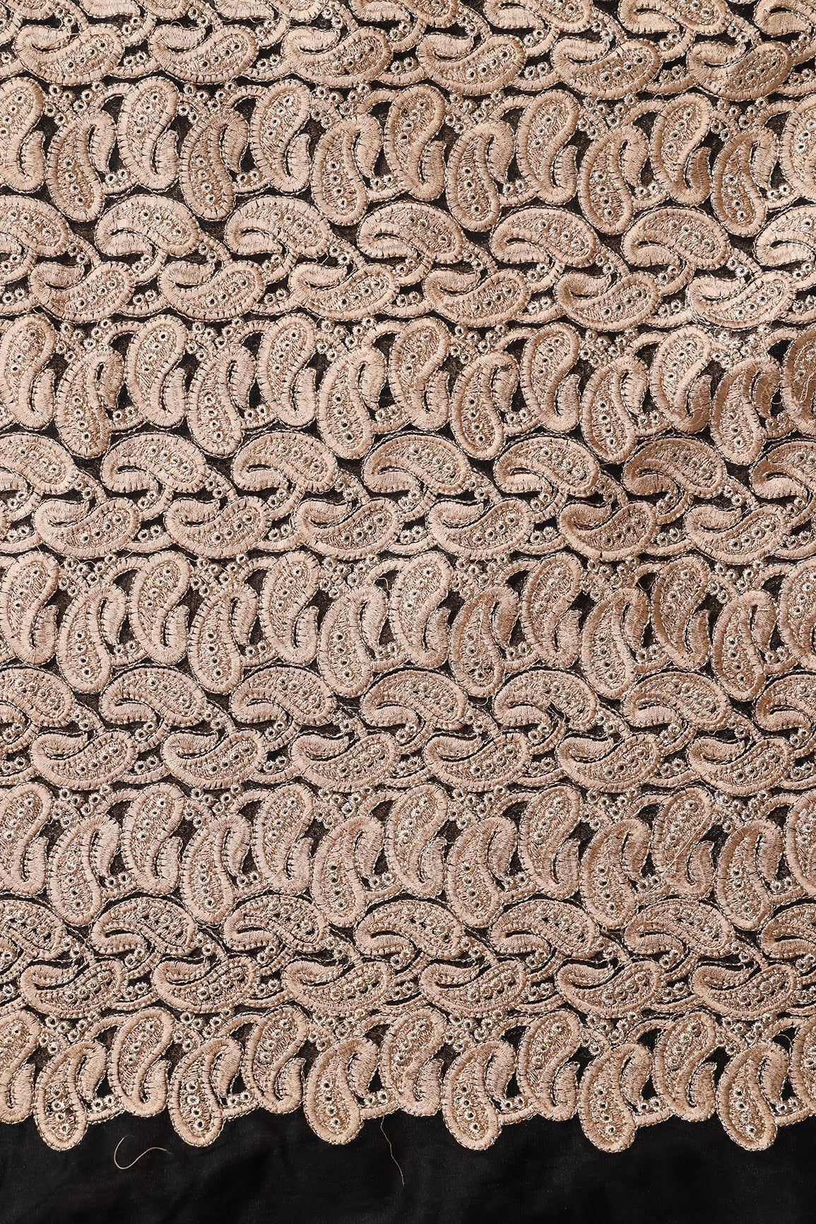 Beige Thread With Gold Zari Heavy Paisley Embroidery On Black Soft Net Fabric - doeraa