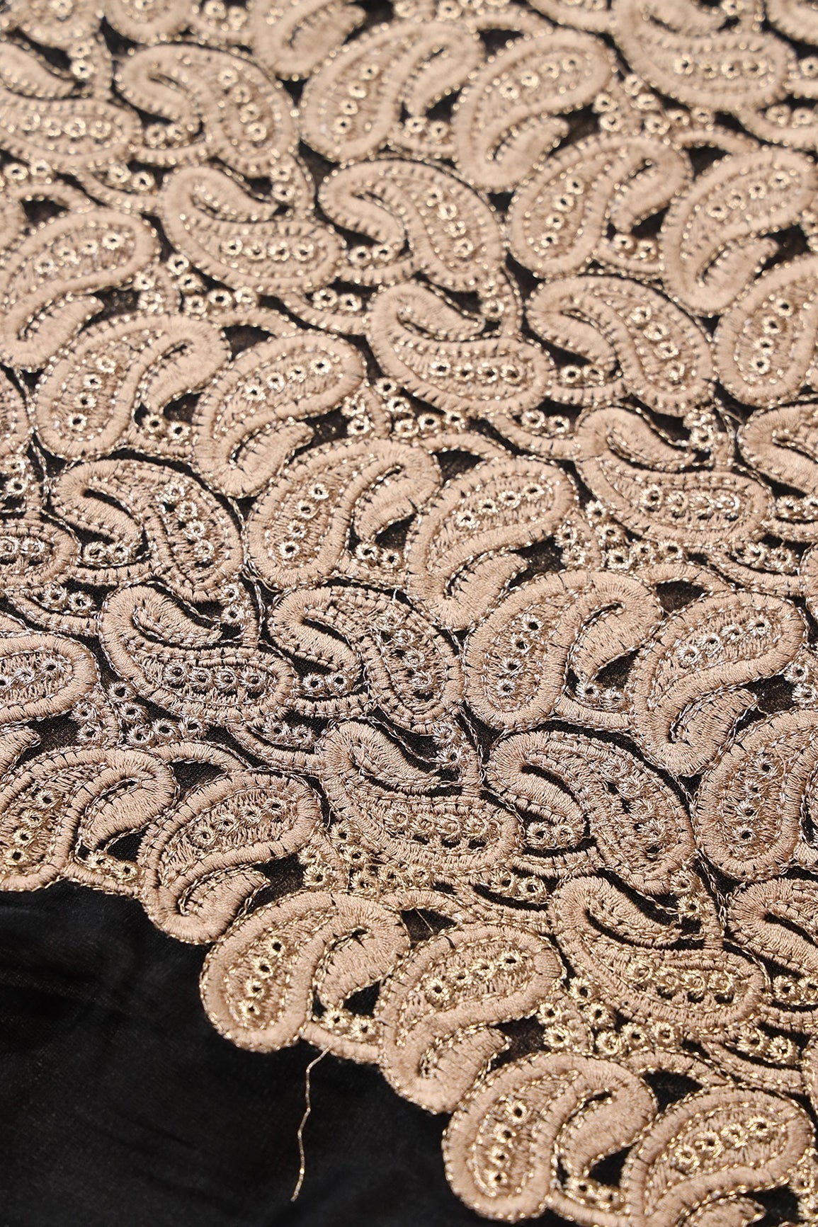 Beige Thread With Gold Zari Heavy Paisley Embroidery On Black Soft Net Fabric - doeraa