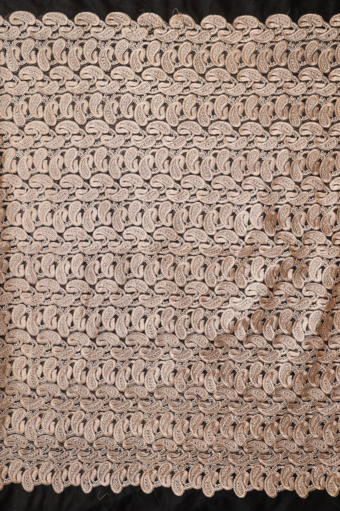 Beige Thread With Gold Zari Heavy Paisley Embroidery On Black Soft Net Fabric - doeraa