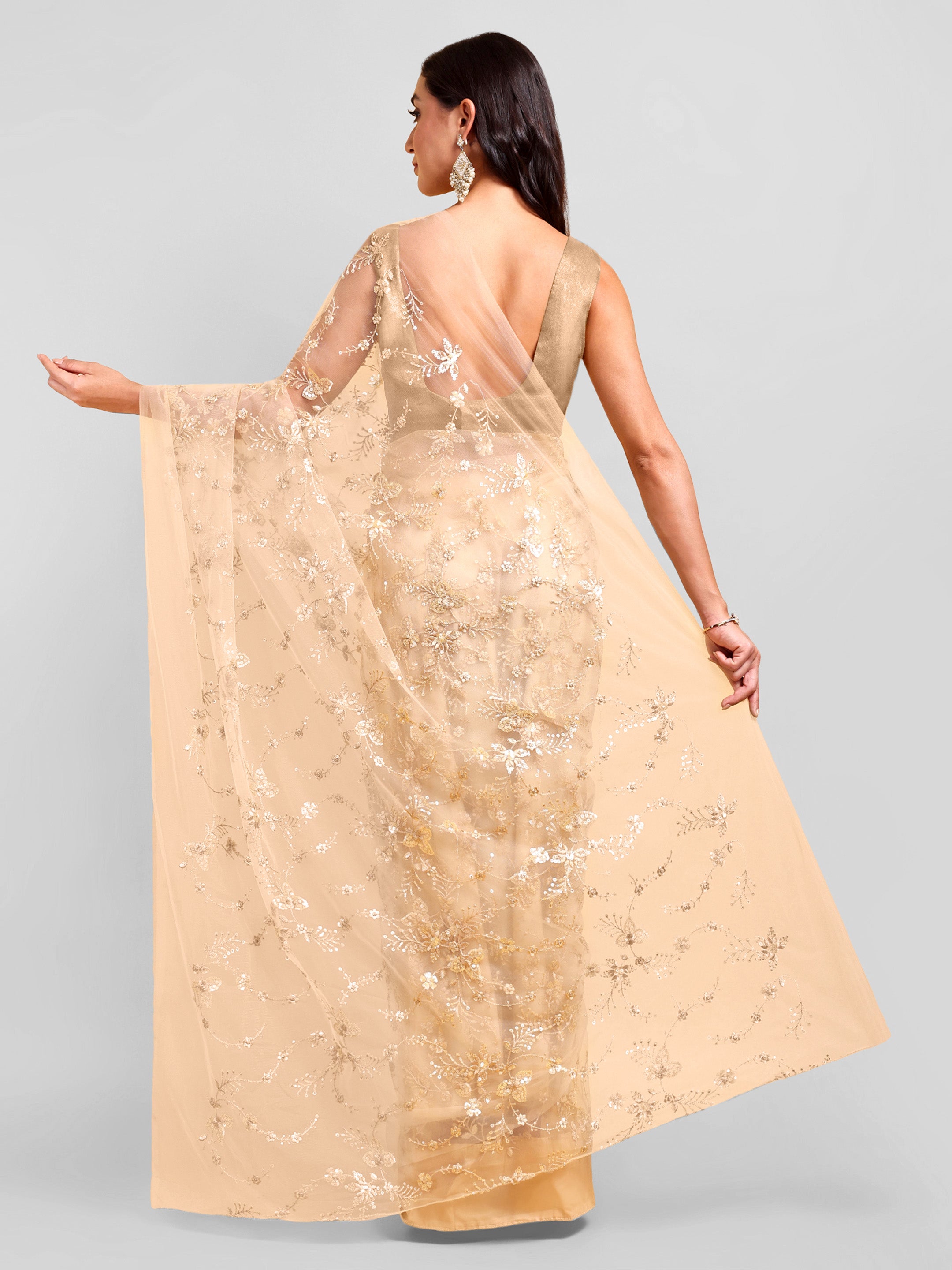 Beige Net Saree Set (2 Piece)