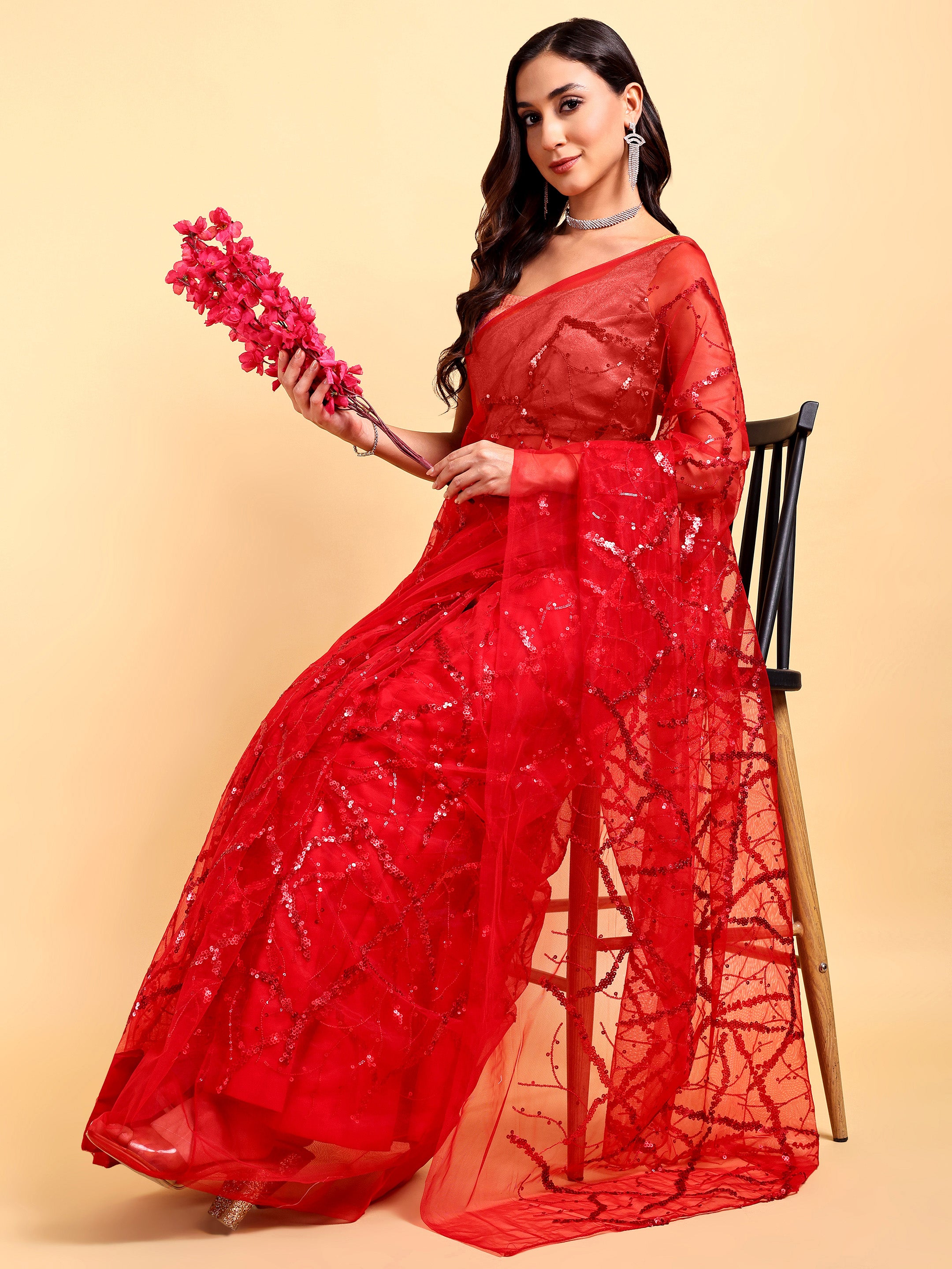 Red Net Saree Set (2 Piece)