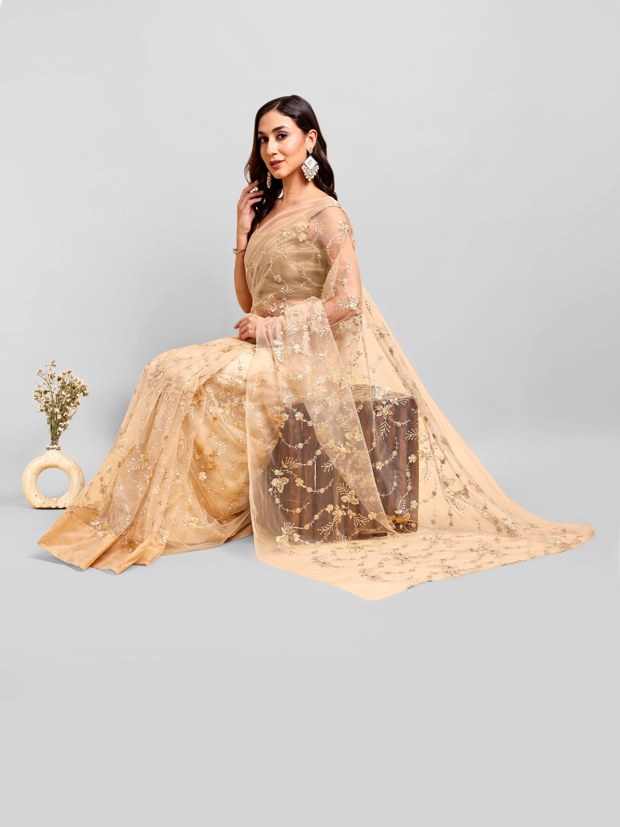 Beige Net Saree Set (2 Piece)