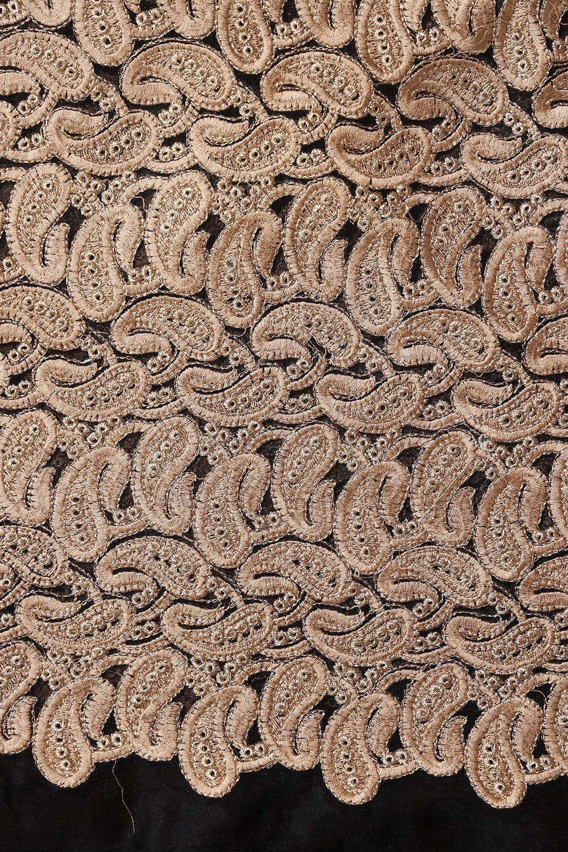 Beige Thread With Gold Zari Heavy Paisley Embroidery On Black Soft Net Fabric - doeraa