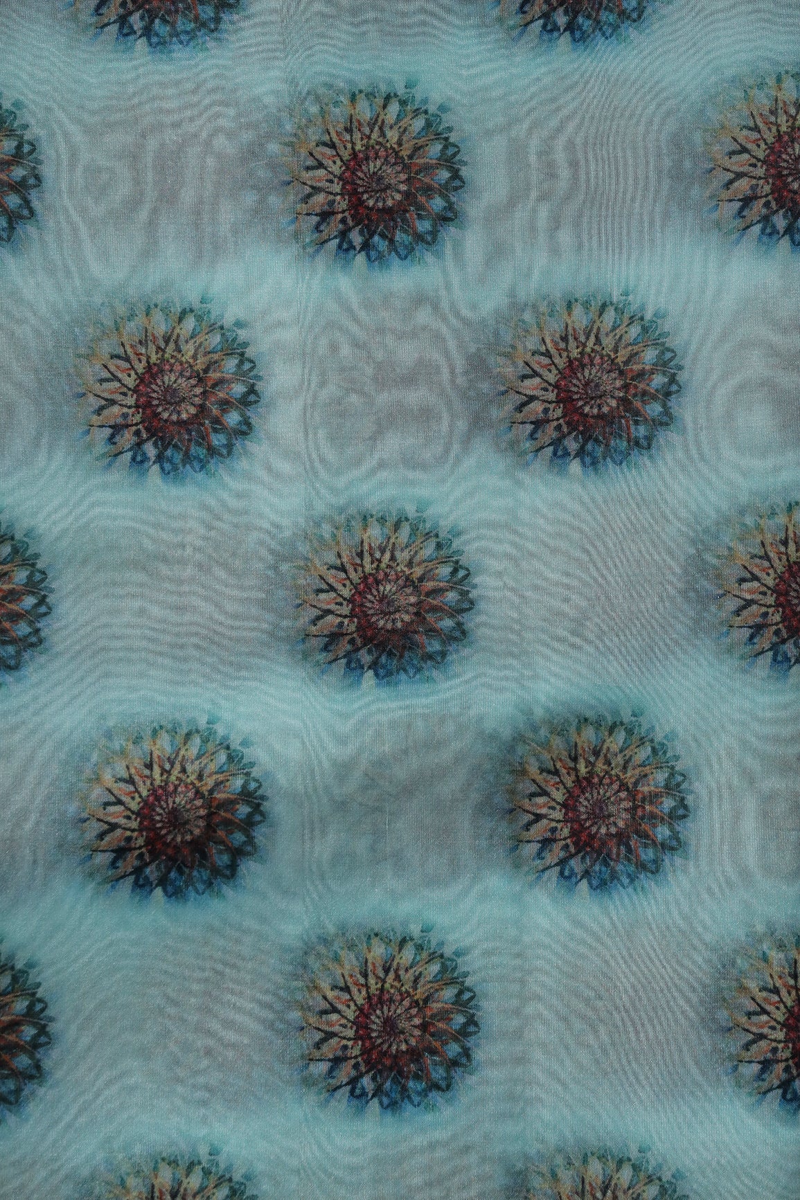 Black And Brown Traditional Pattern Digital Print On Sky Blue Organza Fabric - doeraa